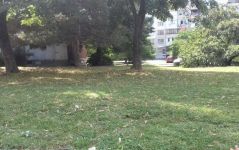 За трети път се косят тревните площи в междублокови пространства в район „Надежда“